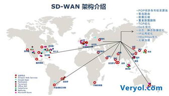 誰(shuí)來(lái)為跨境網(wǎng)絡(luò)技術(shù)服務(wù)買單——凌銳藍(lán)信助力在線教育國(guó)際化